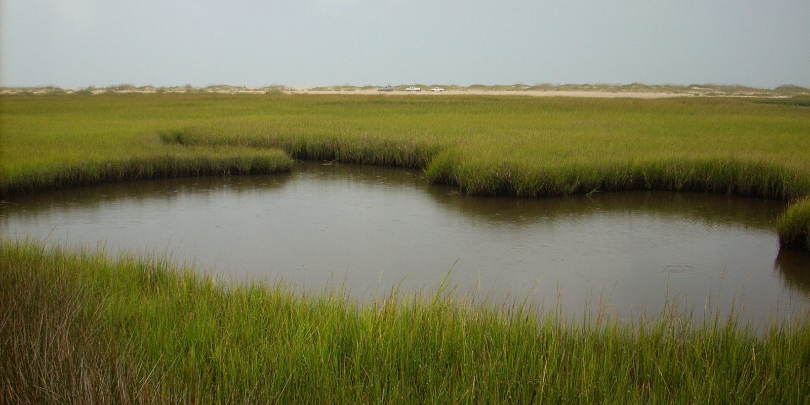 Marsh