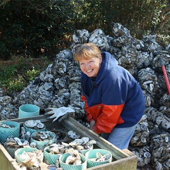oyster-bagging