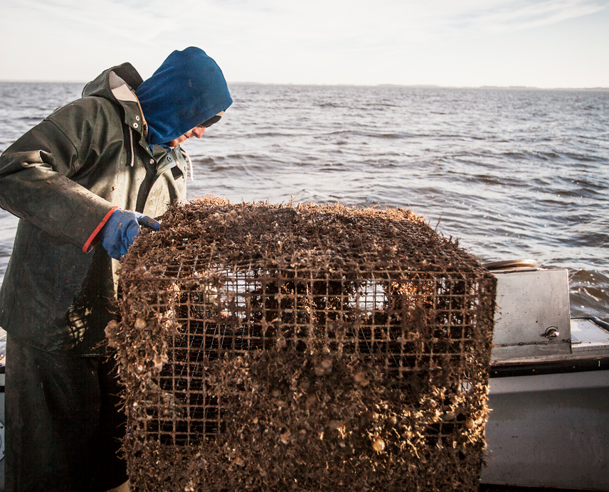 NOAA Marine Debris program NOAA Marine Debris program