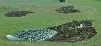 Existing turf areas within the Town of Wrightsville Beach are re-purposed into garden areas that feature native plantings, and capture polluted stormwater before it reaches the adjacent recreational waters.