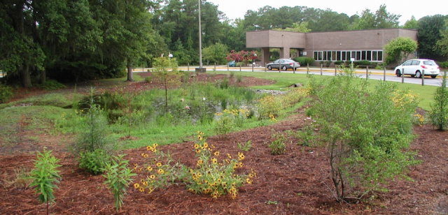 Bradley Creek School LID rain garden. Bradley Creek School LID rain garden.