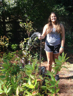 Haley watering plants for native plant sale.