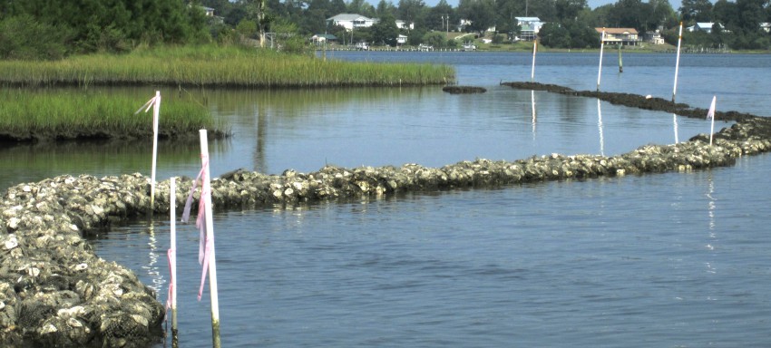 Jones Island sill, north side.