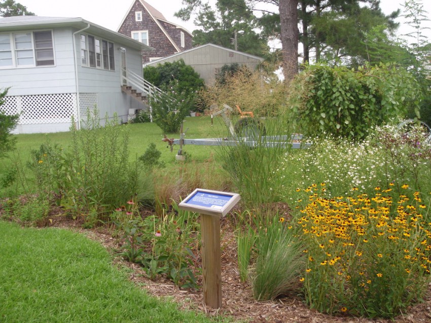 NC office rain garden