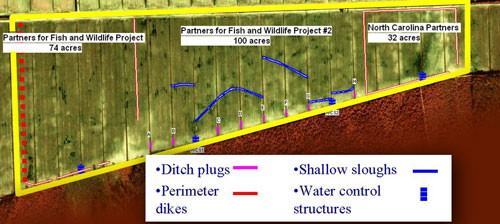 The map shows the restoration that our partners in the project will undertake.