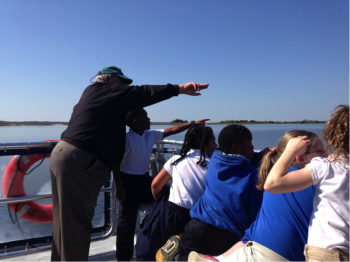 That magical moment when Captain Tom spotted dolphins in the estuary!