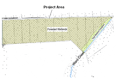 The map shows the 116 acres along Ward Creek that was restored into forested wetlands and tidal marsh.