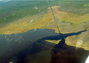 Tannic-colored water flows from a canal in south Hyde County.