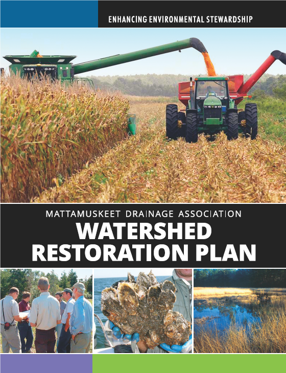 Mattamuskeet Association watershed restoration plan