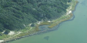 springer-aerial 14-300 After Aerial Photograph: A Living shoreline at Springer’s Point Nature Preserve, Ocracoke, 2014
