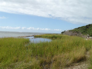 After: A Living shoreline at Springer’s Point Nature Preserve, Ocracoke, 2014