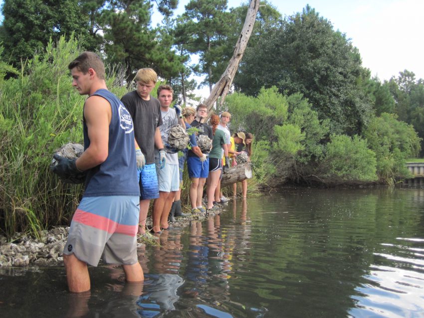 Students line up and pass along oyster bags at an oyster reef construction.