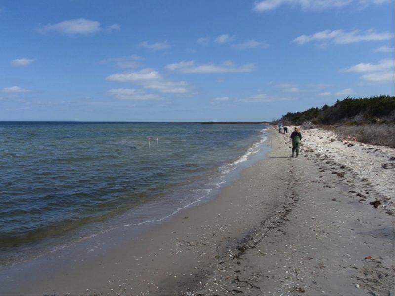 The site prior to sill construction and marsh planting, March 2011