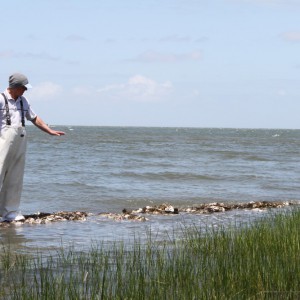 beacon island shoreline restoration creating oyster habitat while