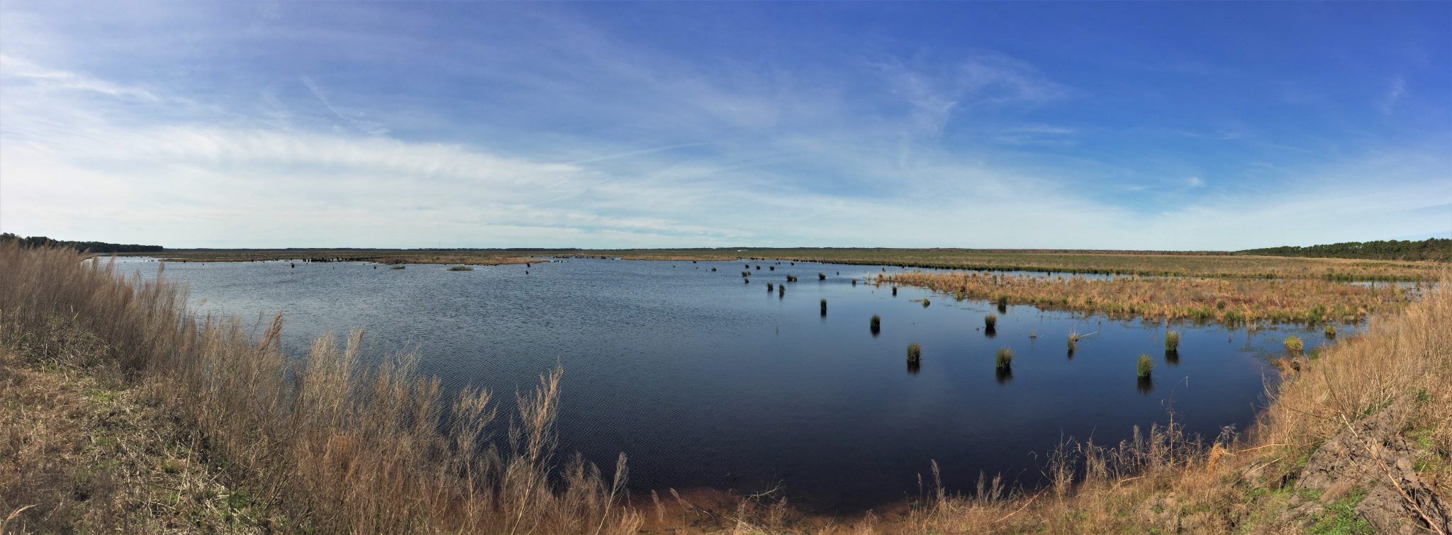 North River Wetlands Preserve North Carolina Coastal Federation