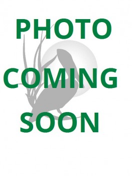 photo coming soon
