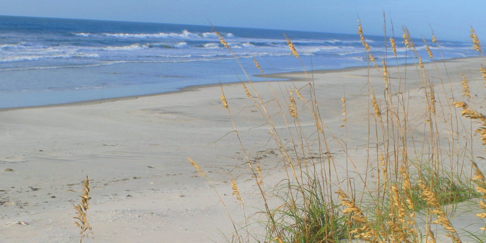 Beach Sea Oats, waves