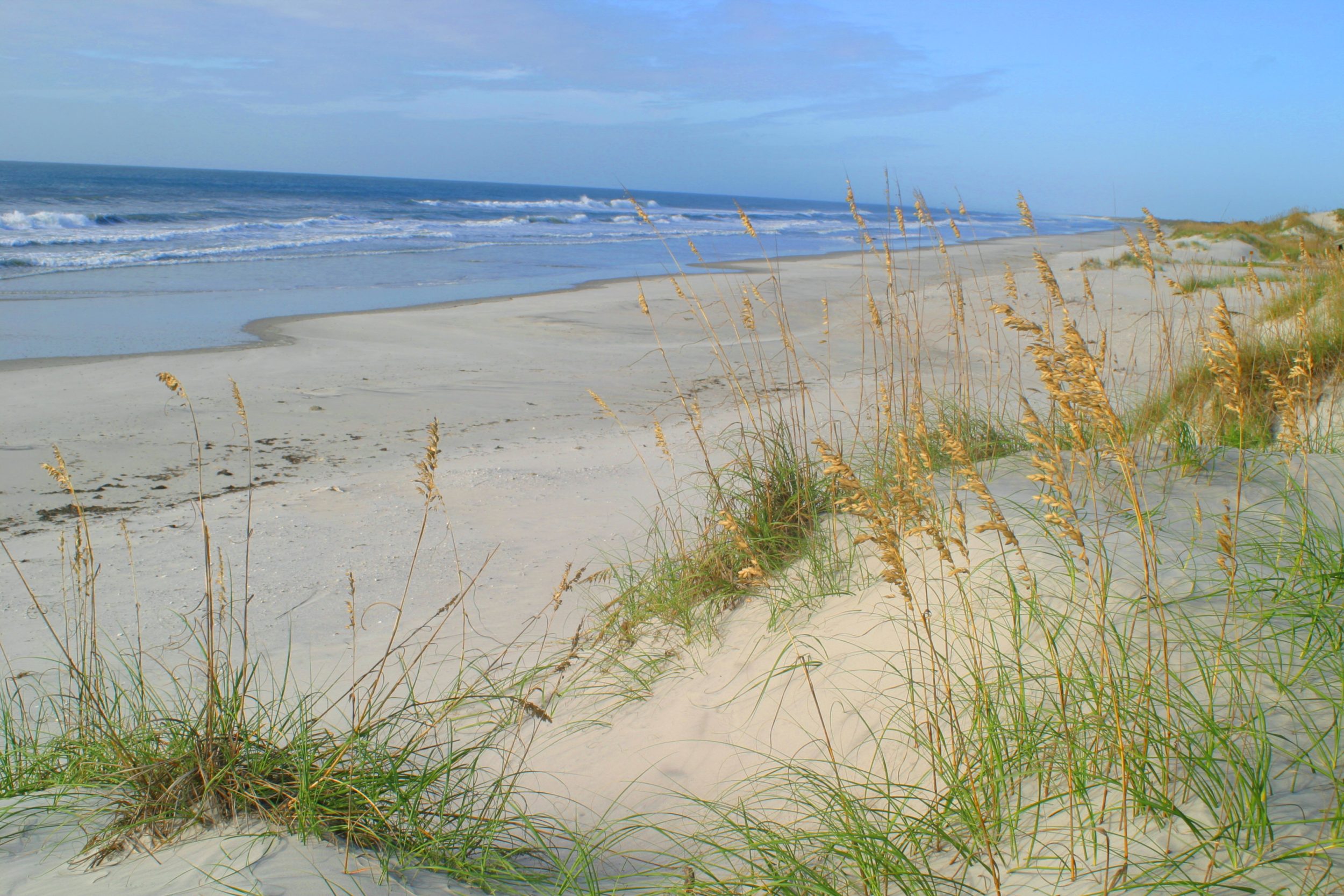 Beach Sea Oats, waves