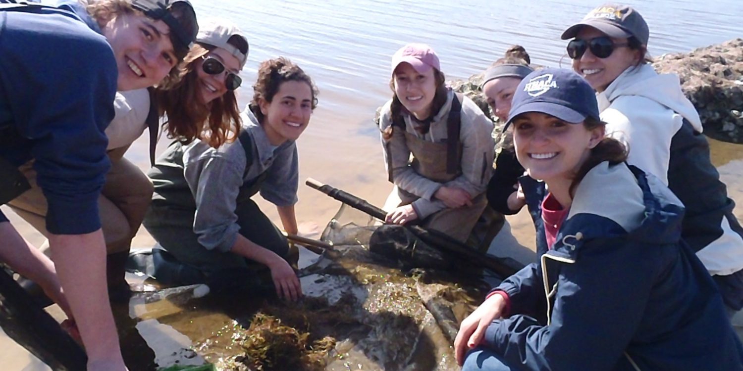 Ithaca College students enjoying time to explore the living shoreline at Jockey’s Ridge State Park.