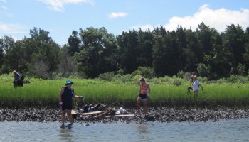 Sugarloaf Cleanup