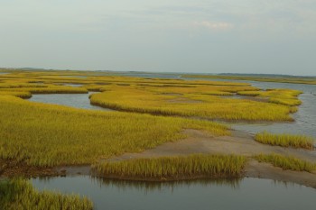 Marsh Islands EI Bridge