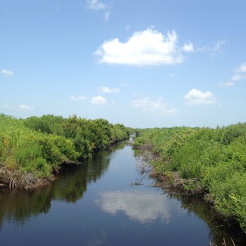 The wetland restoration work being done will reduce the amount of impaired runoff that drains into Pamlico Sound.