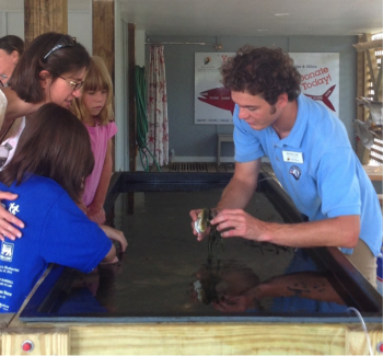 Zach (AmeriCorps Member) teaches visitors about the Tulip Snail, a predatory gastropod who is attached to oyster shells.