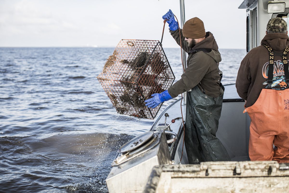 Lost Fishing Gear Recovery