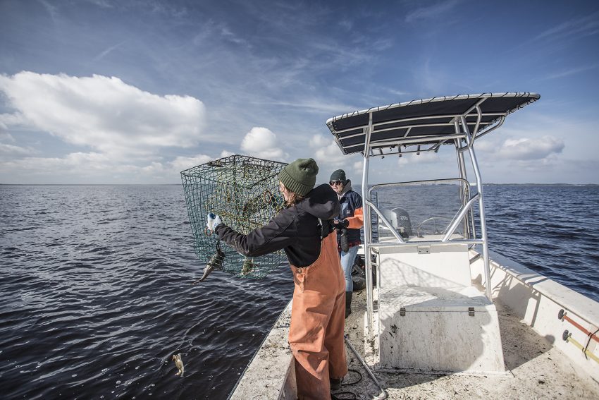 Lost Fishing Gear Recovery