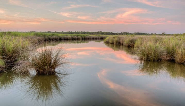 Protect the Coast