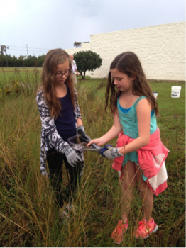 Sixth graders at First Flight Middle School help to maintain their school rain garden this fall.