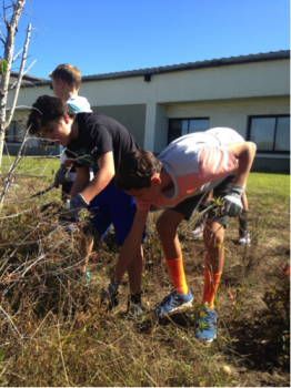 Sixth graders at First Flight Middle School help to maintain their school rain garden this fall.