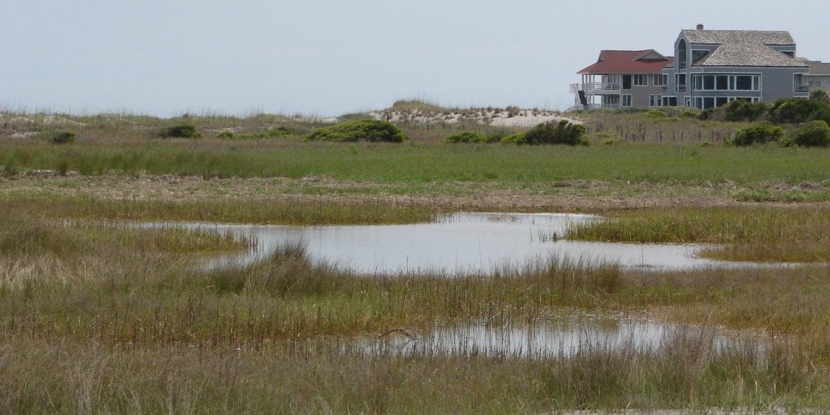 This habitat at Rich Inlet-would-be-threatened-by-the-proposed-Groin This is an image of an area of rich inlet which would've been destroyed without proper coastal management strategies