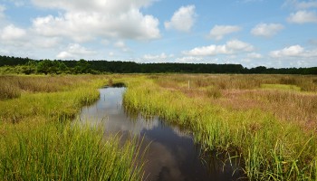 Riparian Lands