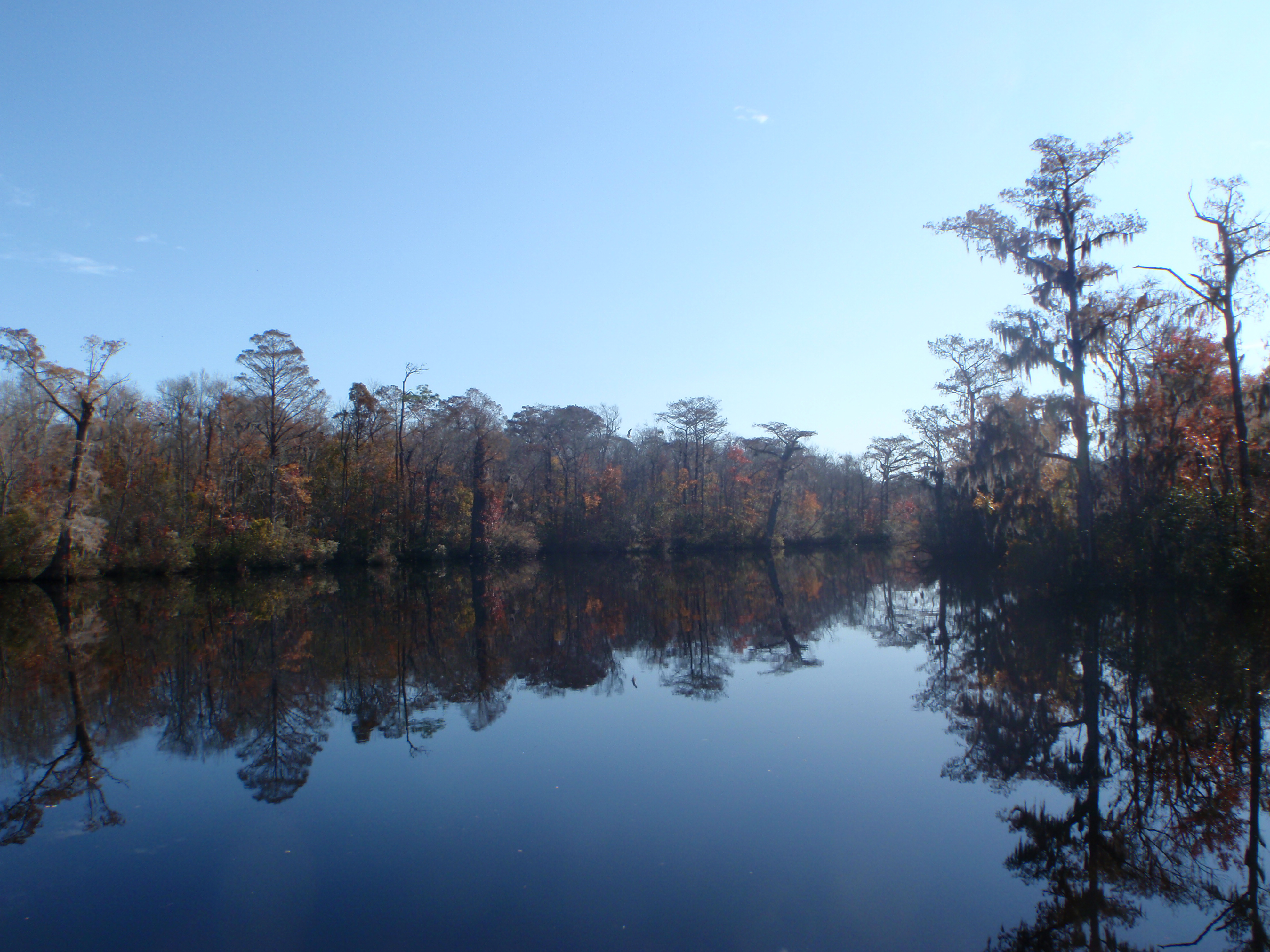 The NE Cape Fear River a National Treaure at Stake copy