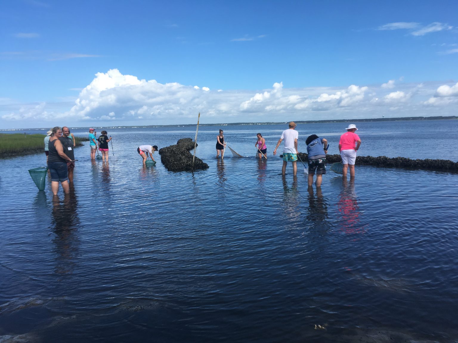 Protect the Coast North Carolina Coastal Federation