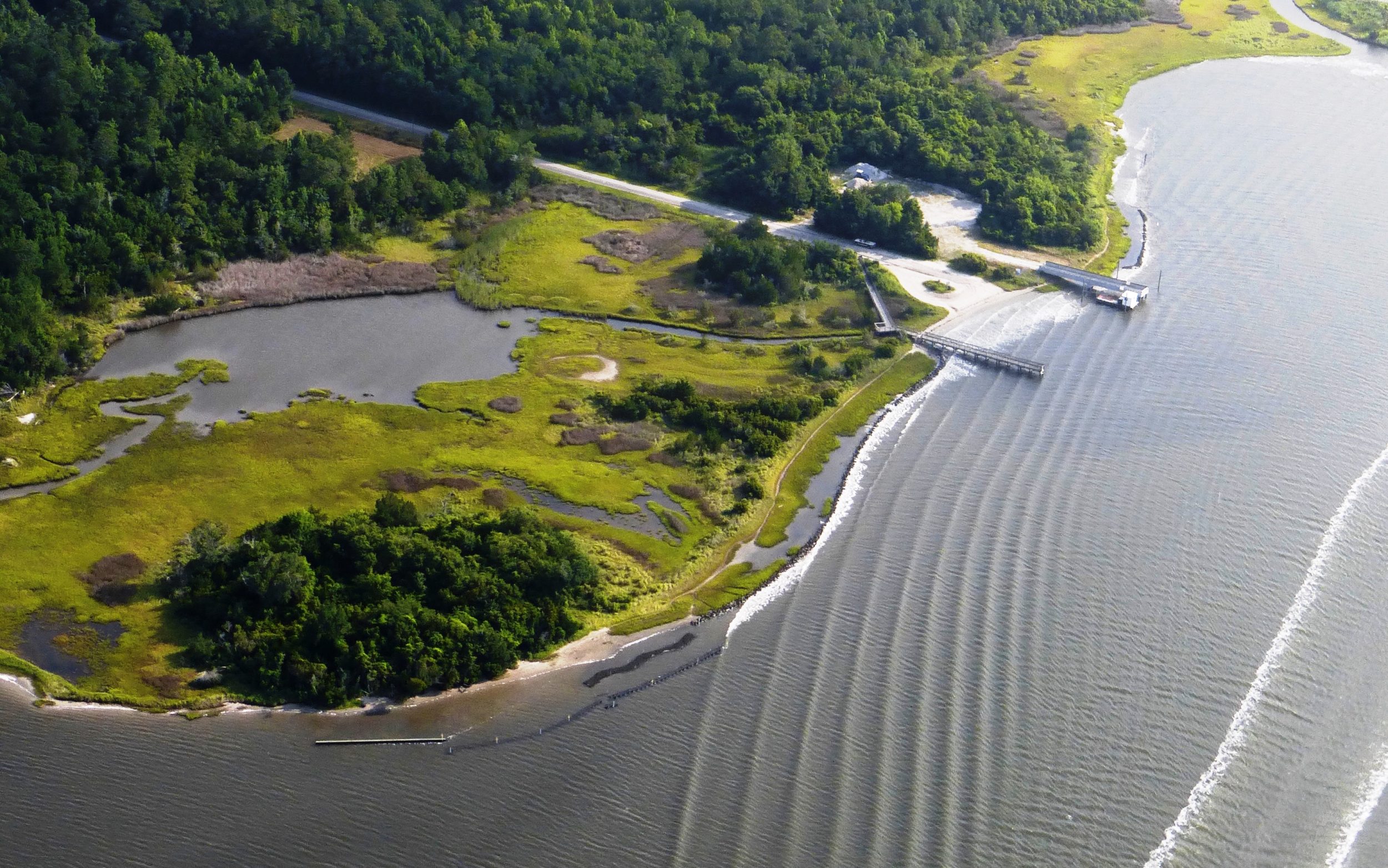 living shoreline