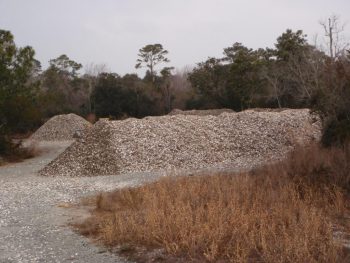 The oyster shell stockpile site at Morris Landing