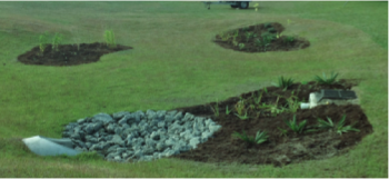 Existing turf areas within the Town of Wrightsville Beach are repurposed into garden areas that feature native plantings, and capture polluted stormwater before it reaches the adjacent recreational waters.