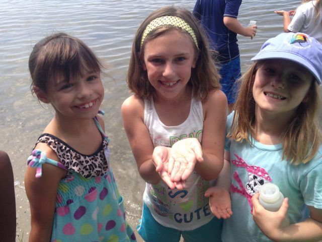 The campers had a great time during the plankton activity