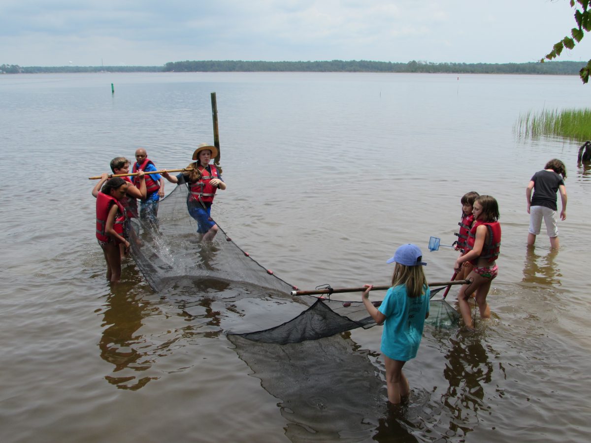 The campers especially enjoyed using the seine net to see what they could catch