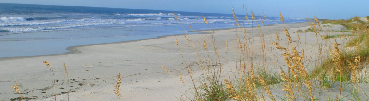 Beach-Sea-Oats-waves