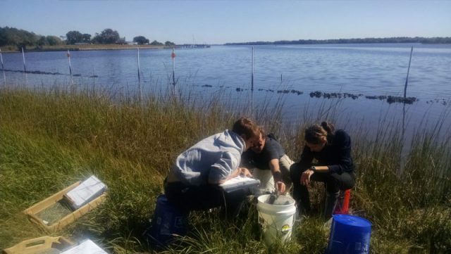 sereefmonitoring2_sept2016