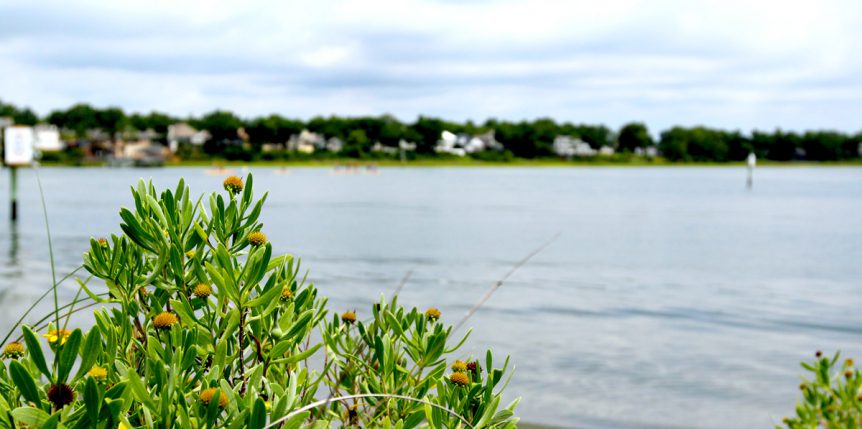 home_header-862×429-1