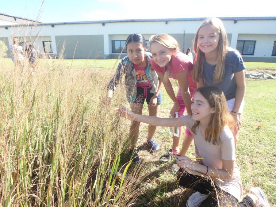Rain gardens are fun and collaborative outdoor classrooms. Photo: Sara Hallas
