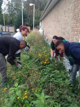 youthbuild_nov2016