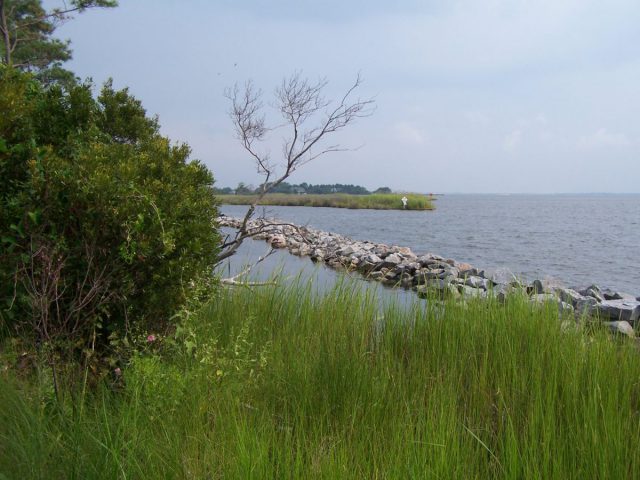 festival-park-8-24-05-28