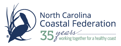 NCCF-35th-Anniversary-Primary-web