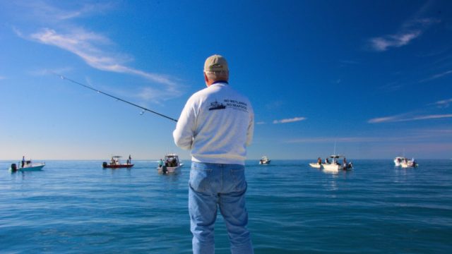 todd2_photo credit vance miller