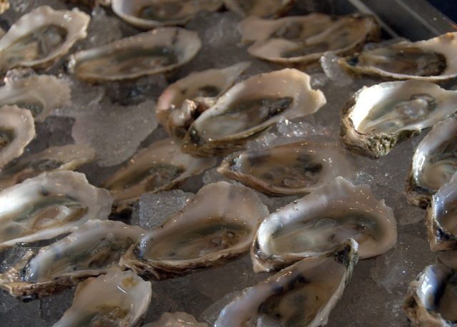Oysters provided by a grower at the Legislative Oyster Reception on March 22 in Raleigh.